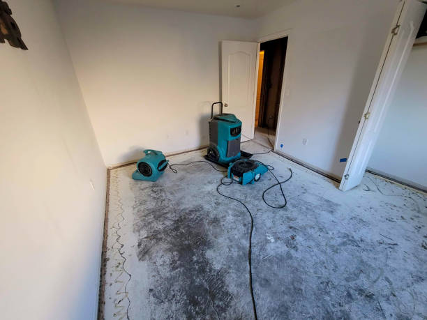 Best Water damage restoration mold remediation  in Beverly Hills, FL