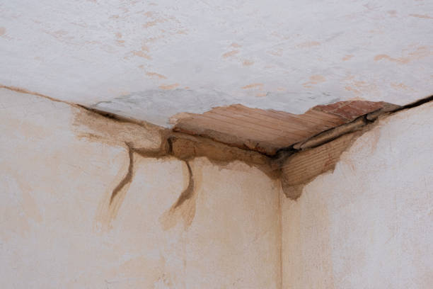 Best 24/7 water damage repair  in Beverly Hills, FL