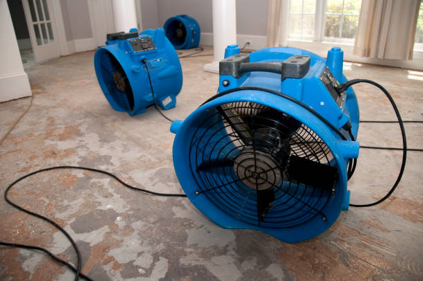 Best Flooded house restoration  in Beverly Hills, FL